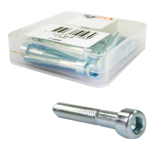 Allen screw M6 x 50 Bofix stainless steel (12 pieces)