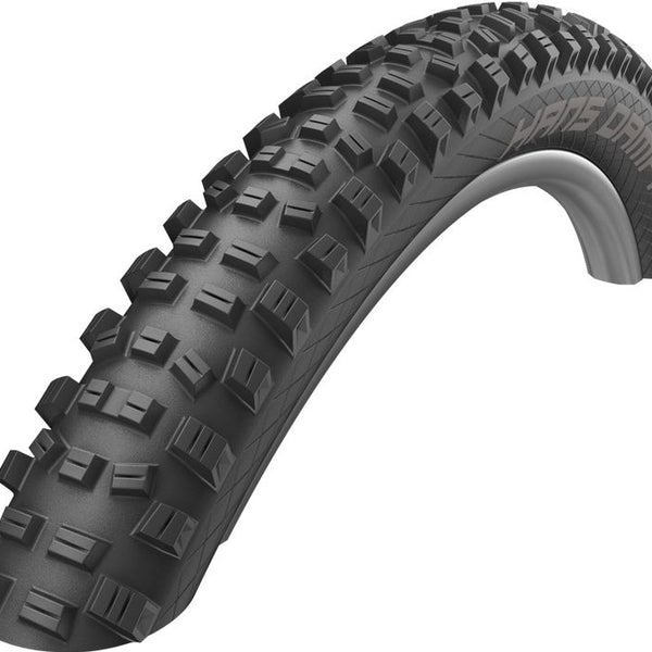 Vouwband Schwalbe Hans Dampf Performance 29 x 2.35 60-622 mm - zwart