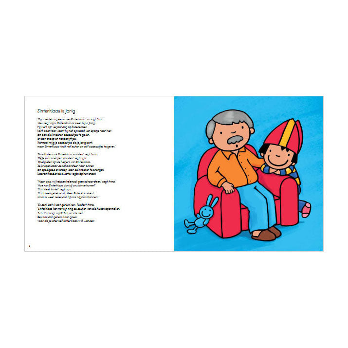 Load image into Gallery viewer, Centraal boekhuis anna's grote sintboek
