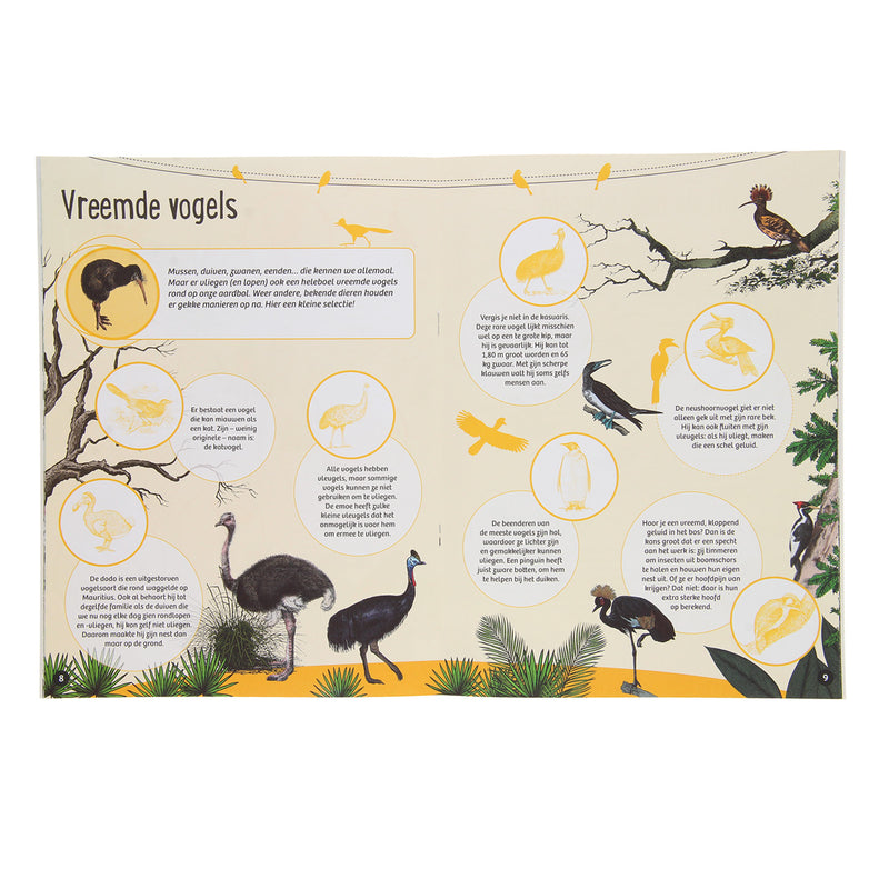 Load image into Gallery viewer, Standaard uitgeverij 50 weetjes 50 stickers - vogels
