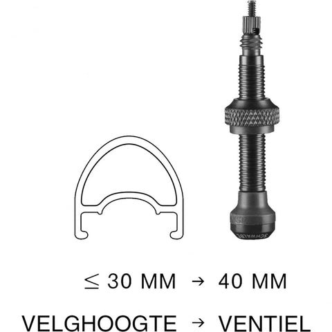 Tubeless valve Schwalbe 40mm (2 pieces)