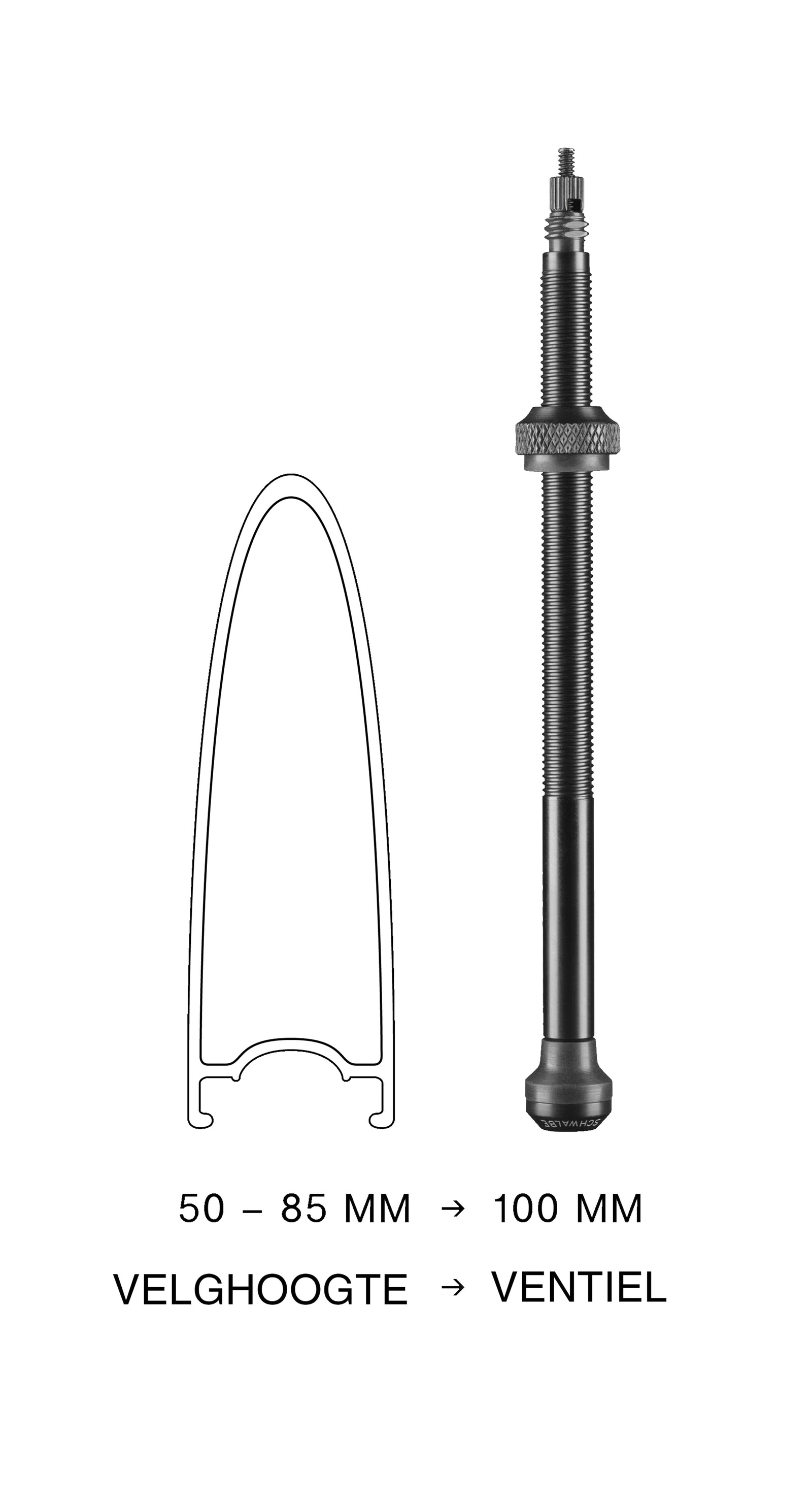 Tubeless valve Schwalbe 100mm (2 pieces)