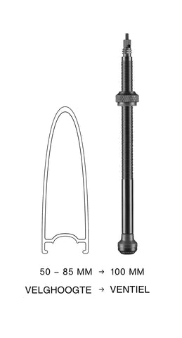 Tubeless valve Schwalbe 100mm (2 pieces)