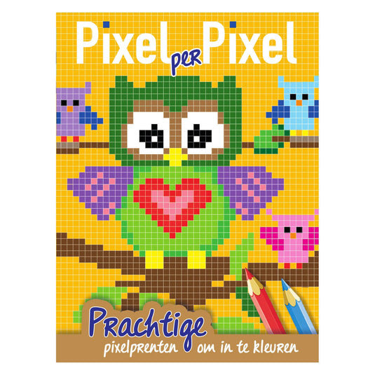 Mondikaarten pixel kleurboek uiltjes