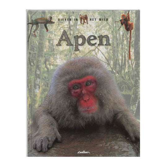 Lantaarn publishers dieren in het wild - apen