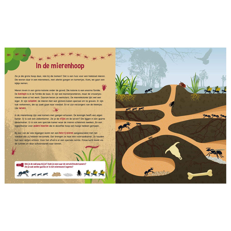 Load image into Gallery viewer, Lantaarn publishers speuren onder de grond + kartonnen zaklamp
