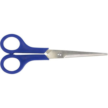 Schaar RVS Cyclus 20cm