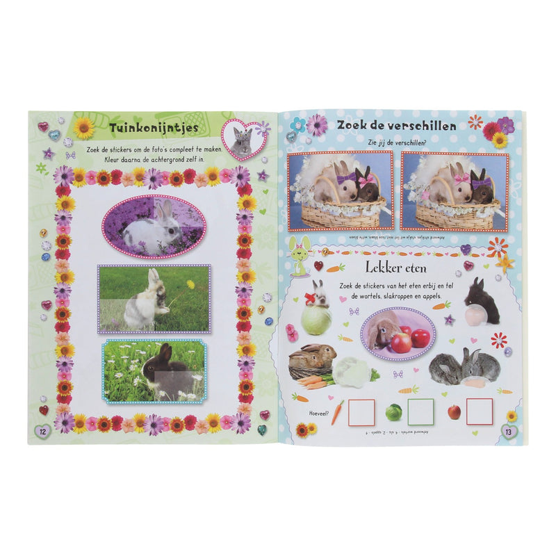 Load image into Gallery viewer, Nijntje dierenvriendjes - kos sticker- en activiteitenboek
