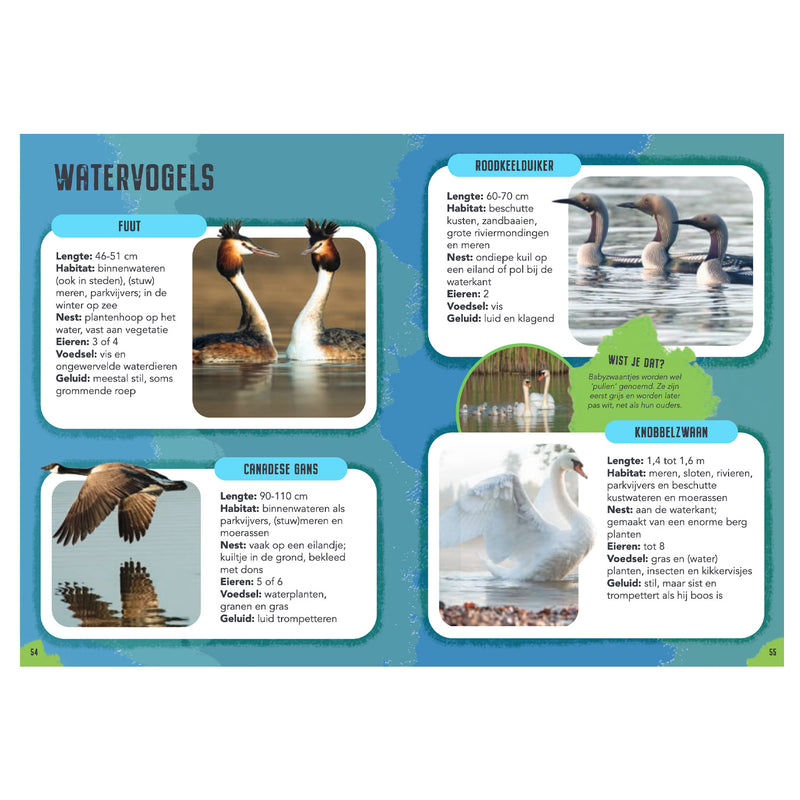 Load image into Gallery viewer, Rebo publishers vogels - gids en natuurdagboek voor kinderen
