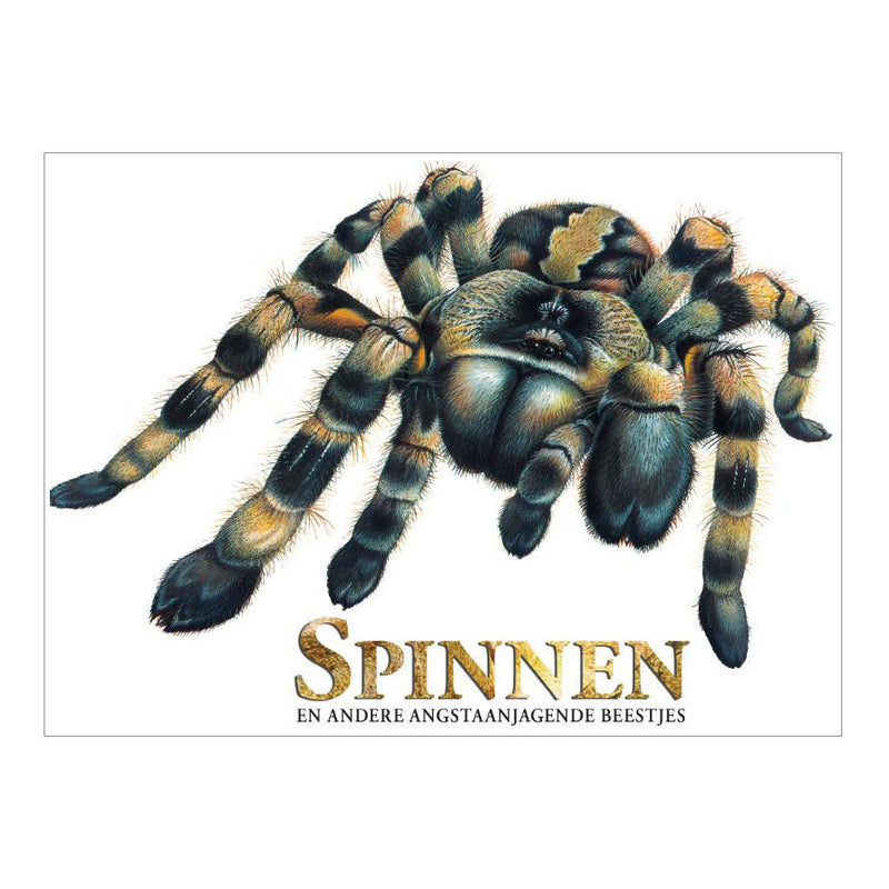 Load image into Gallery viewer, Rebo publishers boek over spinnen, angstaanjagende wezens
