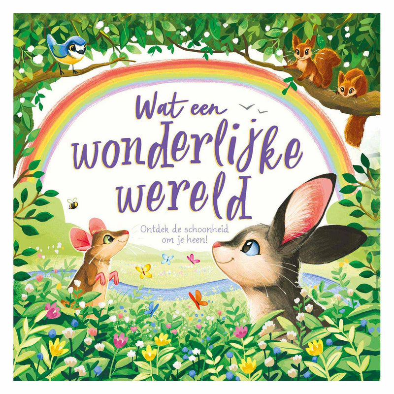 Load image into Gallery viewer, Rebo publishers wat een wonderlijke wereld
