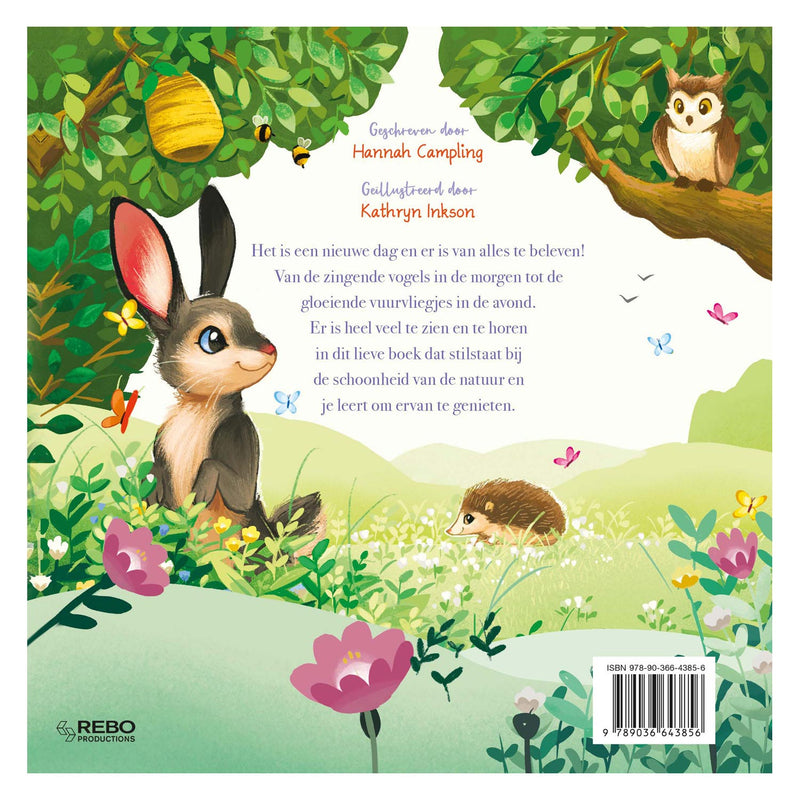 Load image into Gallery viewer, Rebo publishers wat een wonderlijke wereld
