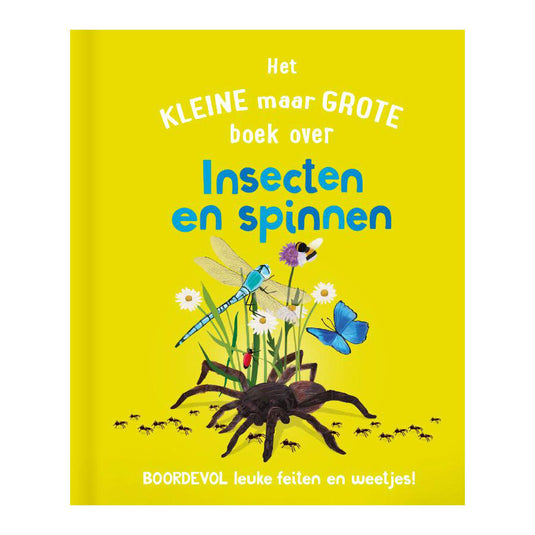 Rebo publishers het kleine maar grote boek over? insecten spinnen