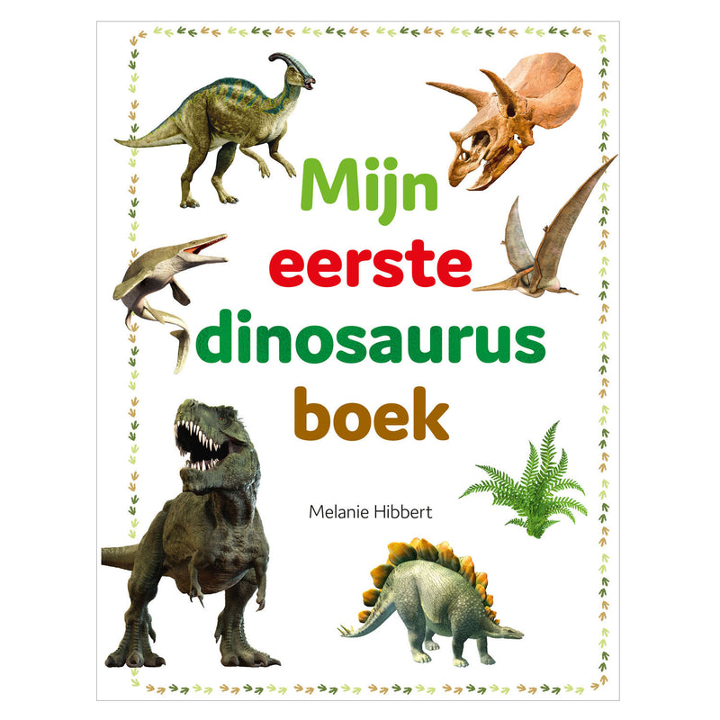 Load image into Gallery viewer, Rebo publishers mijn eerste dinosaurusboek
