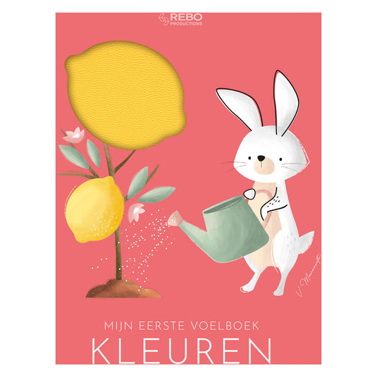Rebo publishers kleuren - eerste voelboek