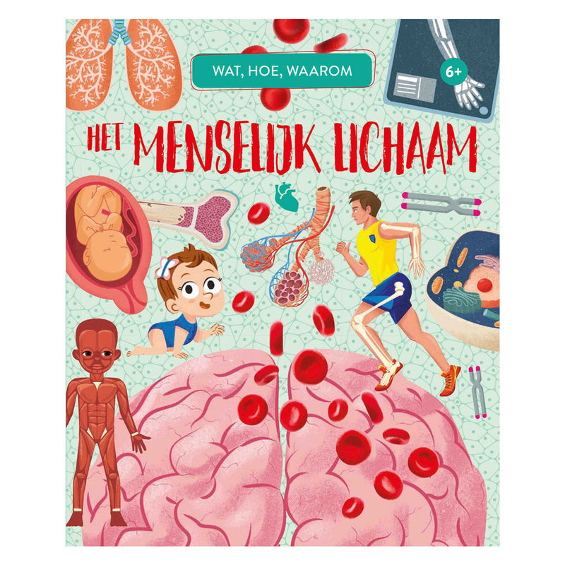 Load image into Gallery viewer, Rebo publishers het menselijk lichaam - wat, hoe, waarom
