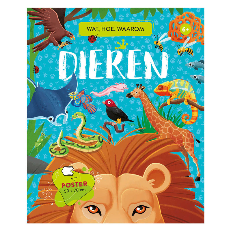 Load image into Gallery viewer, Rebo dieren - wat, hoe, waarom
