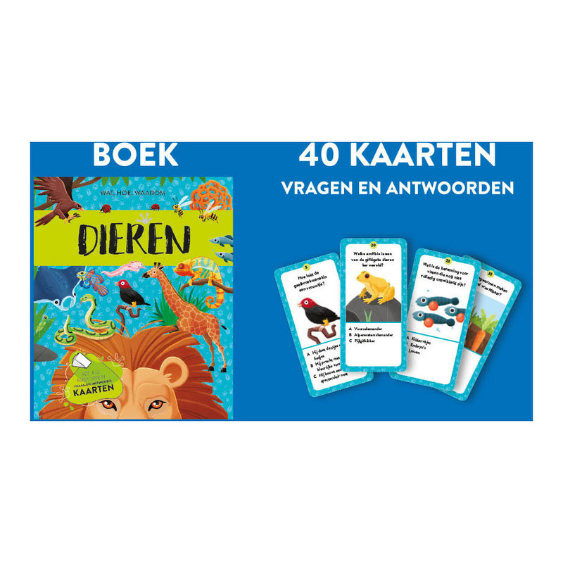 Load image into Gallery viewer, Rebo dieren - feit- en speelset
