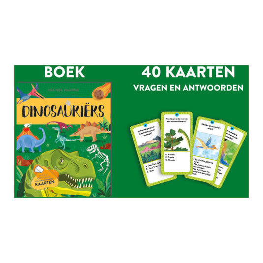 Rebo publishers dinosauriers - feit- en speelset