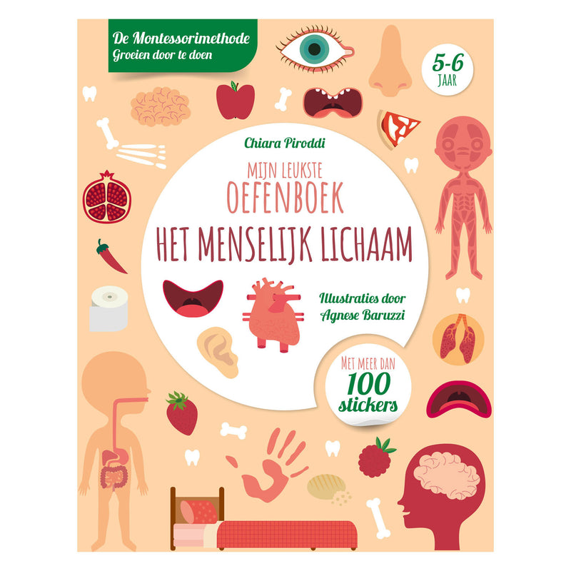 Load image into Gallery viewer, Rebo publishers menselijk lichaam-leukste oefenboek
