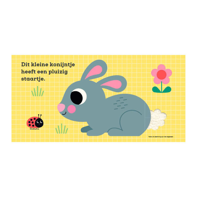 Load image into Gallery viewer, Gottmer uitgevers groep voelboek: dit kleine konijntje 1+
