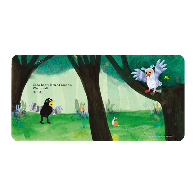 Load image into Gallery viewer, Gottmer uitgevers groep coco in het bos
