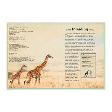 Gottmer uitgevers groep het allermooiste boek over babydieren