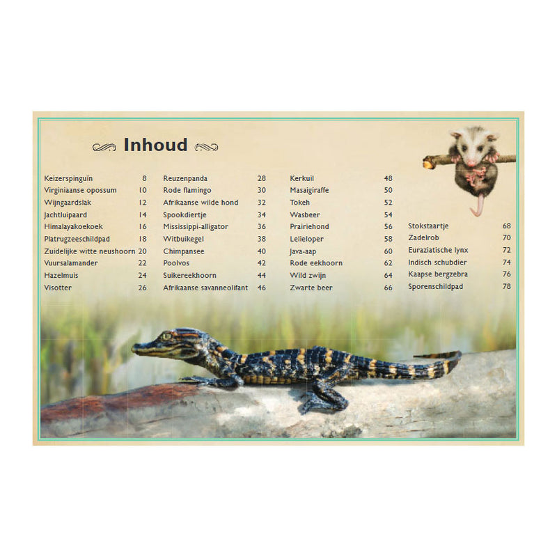 Load image into Gallery viewer, Gottmer uitgevers groep het allermooiste boek over babydieren
