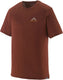 Patagonia capilene cool merino graphic s s shirt