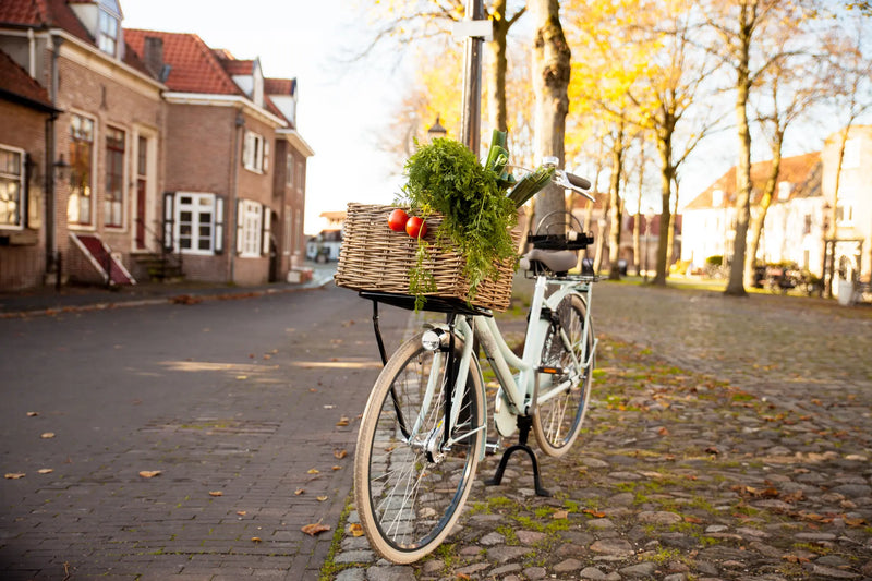 Load image into Gallery viewer, Voordrager Steco Transport 26 28 - 30 x 30 cm - wit
