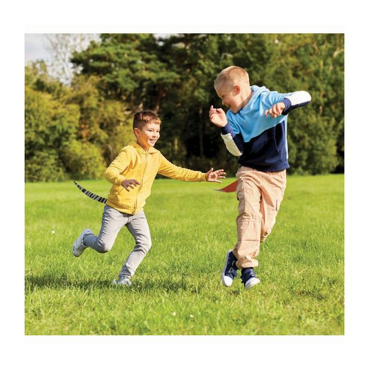 Play today dierenstaarten tikkertje, 6 staarten