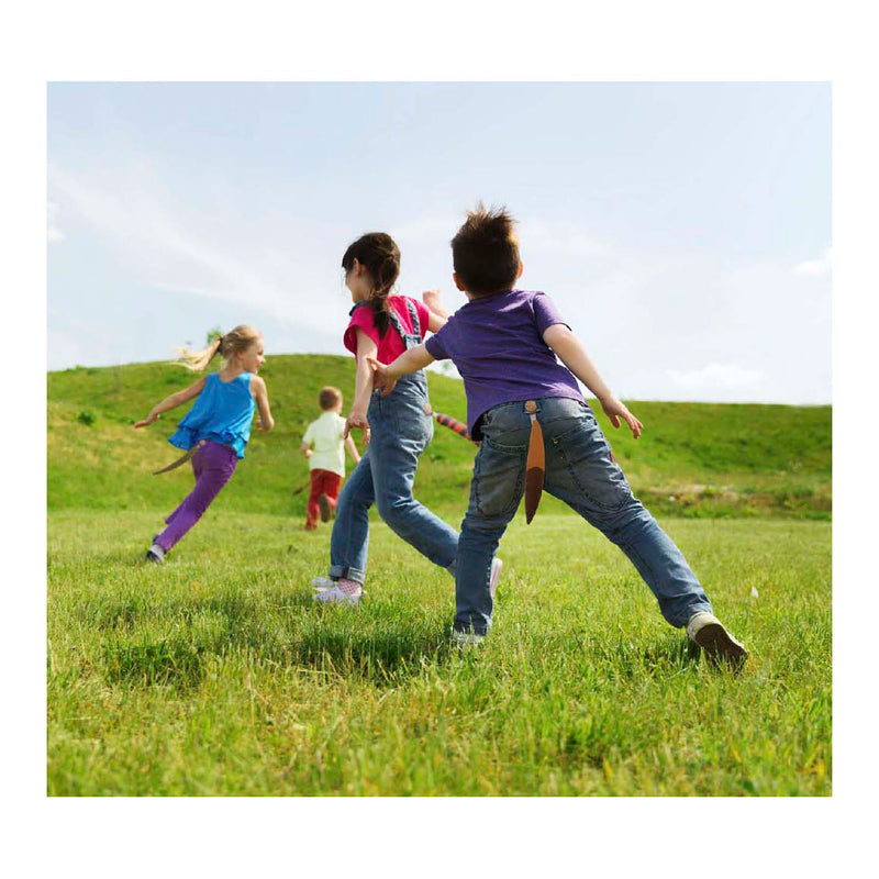 Load image into Gallery viewer, Play today dierenstaarten tikkertje, 6 staarten
