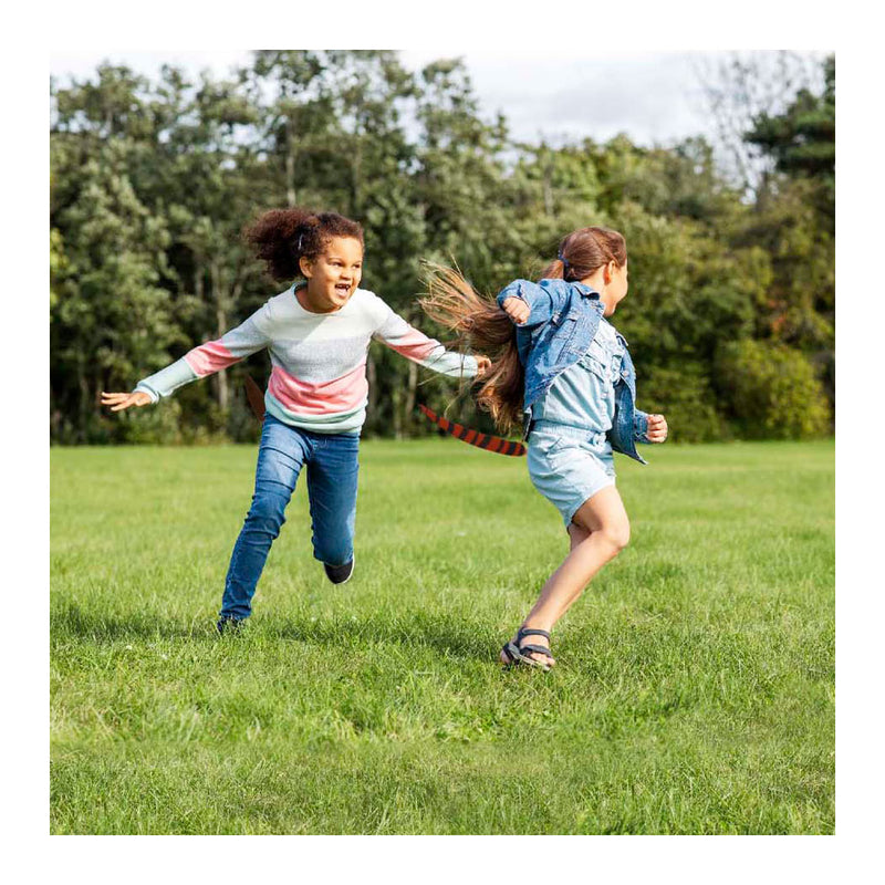 Load image into Gallery viewer, Play today dierenstaarten tikkertje, 6 staarten
