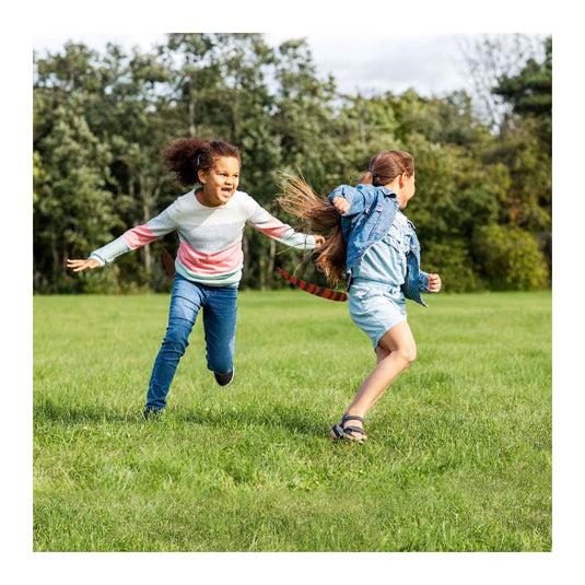 Play today dierenstaarten tikkertje, 6 staarten