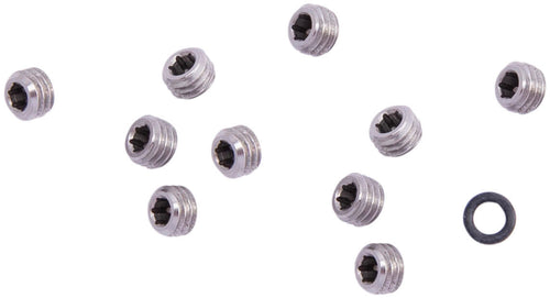 Rockshox ontluchtingsschroef bleed screw rs 10pcs. reverb 10 pcs.