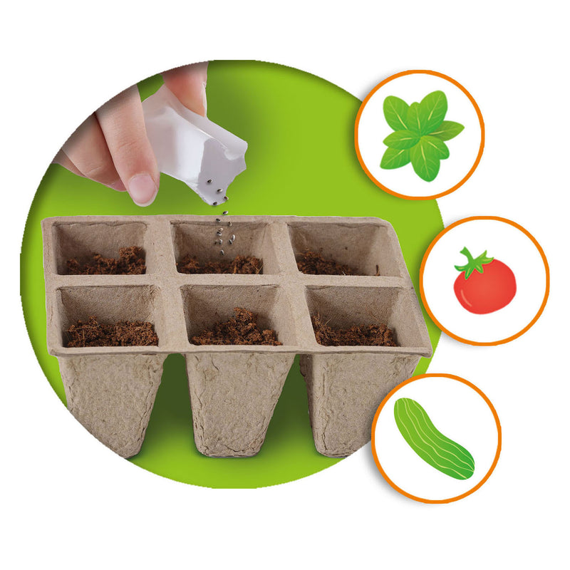 Load image into Gallery viewer, Ses creative - explore - broeikas met groenten - kweek je eigen tomaat, basilicum en komkommer - echt houten broeikas – experimenteerdozen – mini moestuin voor kinderen
