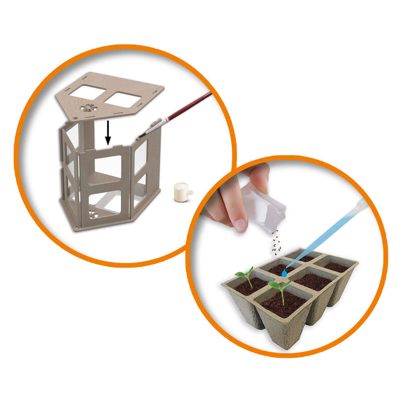 Load image into Gallery viewer, Ses creative - explore - broeikas met groenten - kweek je eigen tomaat, basilicum en komkommer - echt houten broeikas – experimenteerdozen – mini moestuin voor kinderen
