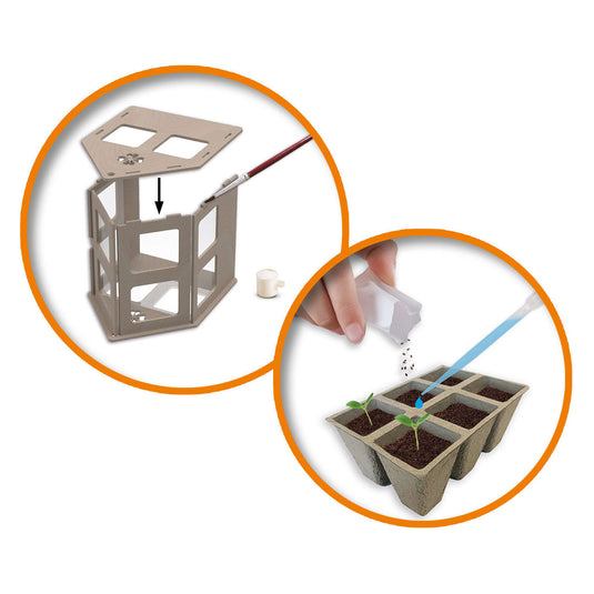 Ses creative - explore - broeikas met groenten - kweek je eigen tomaat, basilicum en komkommer - echt houten broeikas – experimenteerdozen – mini moestuin voor kinderen