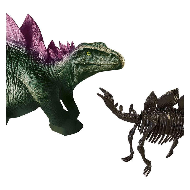 Load image into Gallery viewer, Ses explore dino en skelet opgraven 2in1- stegosaurus
