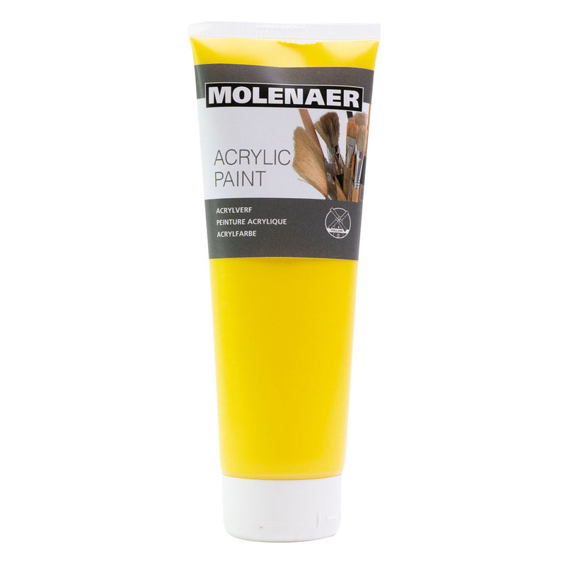 Load image into Gallery viewer, Molenaer Acrylverf, 6x250ml
