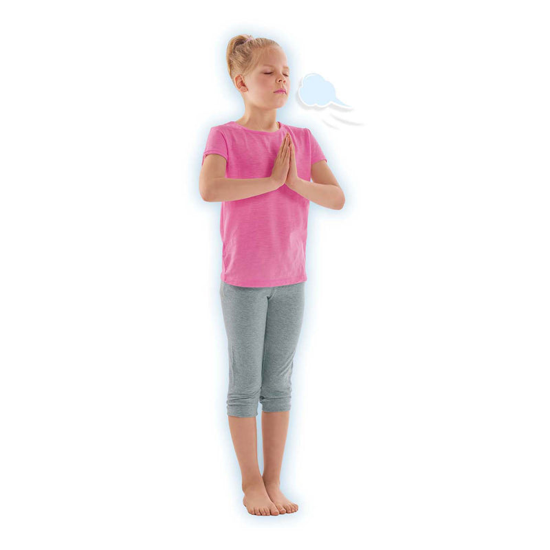 Load image into Gallery viewer, Ses zen yoga dieren, 28dlg.
