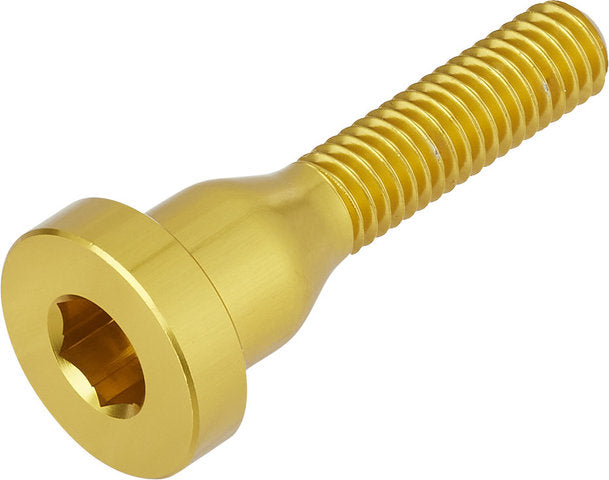 Load image into Gallery viewer, Burgtec bolt for top cap
