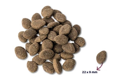 Load image into Gallery viewer, Renske Super premium adult lam graanvrij
