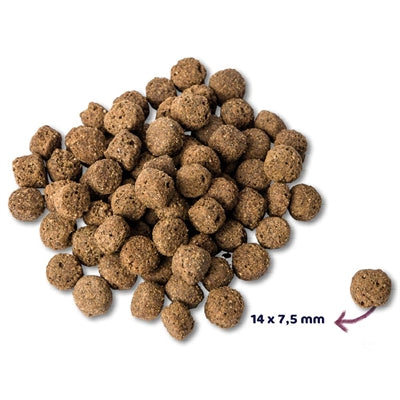 Load image into Gallery viewer, Renske Super premium adult oceaanvis
