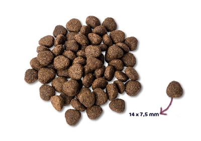 Load image into Gallery viewer, Renske Super premium adult zalm graanvrij
