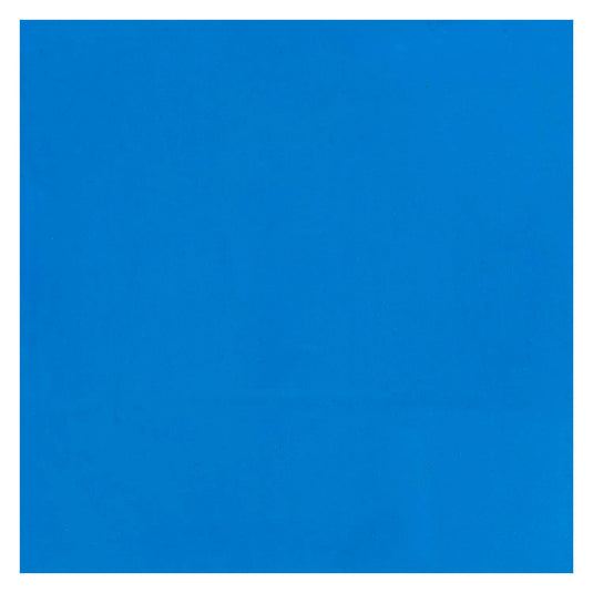 Bruynzeel ecola plakkaatverf fles 16ml lichtblauw 501