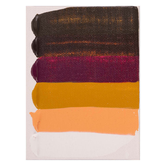 Bruynzeel amsterdam standard series acrylverf portret set 20ml, 6dlg.