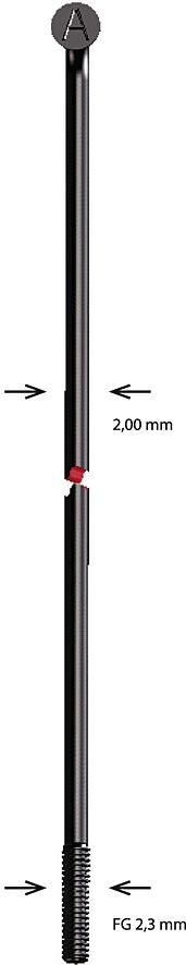 Alpina spaak spoke stainless steel 2x163mm