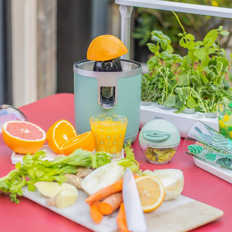 Load image into Gallery viewer, Livoo Livoo Citruspers elektrisch 70 W 400 ml groen
