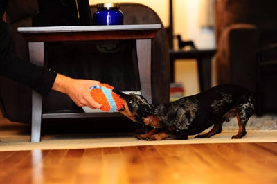 Load image into Gallery viewer, Chuckit indoor ball
